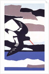 Oystercatcher by John Wallington