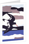 Oystercatcher by John Wallington