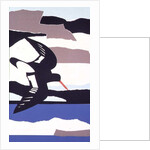 Oystercatcher by John Wallington
