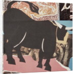 Aberdeen Angus Bull by John Wallington