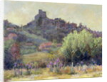Vaison La Romaine, Vaucluse by Karen Armitage