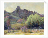 Vaison La Romaine, Vaucluse by Karen Armitage