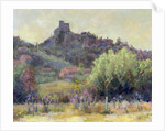 Vaison La Romaine, Vaucluse by Karen Armitage