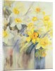 Mixed Daffodils in a Tank by Karen Armitage