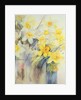 Mixed Daffodils in a Tank by Karen Armitage