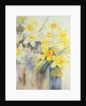 Mixed Daffodils in a Tank by Karen Armitage