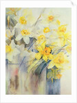 Mixed Daffodils in a Tank by Karen Armitage