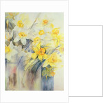 Mixed Daffodils in a Tank by Karen Armitage