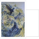 Hydrangea Particulata by Karen Armitage