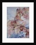 Orchid Cymbidium Ramley by Karen Armitage