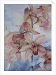 Orchid Cymbidium Ramley by Karen Armitage