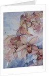 Orchid Cymbidium Ramley by Karen Armitage