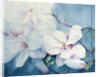 Magnolia Soulangeana (horizontal) by Karen Armitage