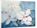 Magnolia Soulangeana (horizontal) by Karen Armitage
