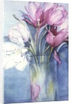 Pink Parrot Tulips and Marlette by Karen Armitage