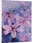 Lilies, pink Auratum by Karen Armitage