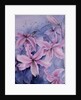 Lilies, pink Auratum by Karen Armitage