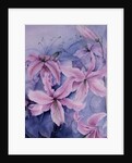 Lilies, pink Auratum by Karen Armitage
