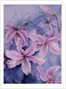 Lilies, pink Auratum by Karen Armitage