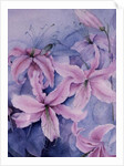 Lilies, pink Auratum by Karen Armitage