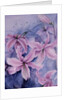 Lilies, pink Auratum by Karen Armitage