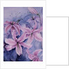Lilies, pink Auratum by Karen Armitage