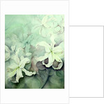 Lilies, white Auratum by Karen Armitage