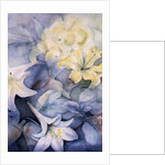 Lilium, Hearts Desire and Imperiale by Karen Armitage