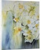 Narcissi and freesia by Karen Armitage