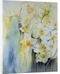 Narcissi and freesia by Karen Armitage
