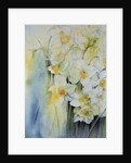 Narcissi and freesia by Karen Armitage