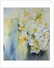 Narcissi and freesia by Karen Armitage