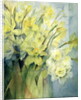 Daffodils, Uncle Remis and Ice Follies by Karen Armitage