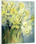 Daffodils, Uncle Remis and Ice Follies by Karen Armitage