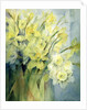 Daffodils, Uncle Remis and Ice Follies by Karen Armitage