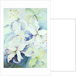 Lilium, Imperial Gold by Karen Armitage