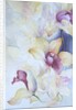 Orchid, Cymbidium, Prince Charles by Karen Armitage