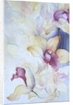 Orchid, Cymbidium, Prince Charles by Karen Armitage