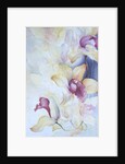 Orchid, Cymbidium, Prince Charles by Karen Armitage