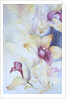 Orchid, Cymbidium, Prince Charles by Karen Armitage