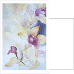 Orchid, Cymbidium, Prince Charles by Karen Armitage