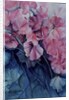 Sweet Peas, Pink Pride (vertical) by Karen Armitage