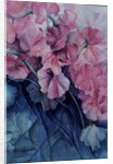 Sweet Peas, Pink Pride (vertical) by Karen Armitage