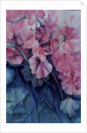 Sweet Peas, Pink Pride (vertical) by Karen Armitage