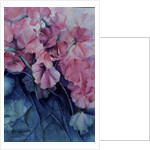 Sweet Peas, Pink Pride (vertical) by Karen Armitage