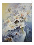 Chrysanthemum, Snowcap by Karen Armitage