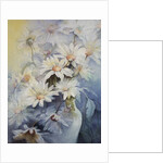 Chrysanthemum, Snowcap by Karen Armitage