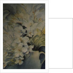 Freesia, Aurora and Ballerina in a White Jug by Karen Armitage