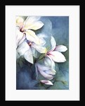 Magnolia Dedudata by Karen Armitage
