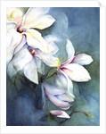 Magnolia Dedudata by Karen Armitage